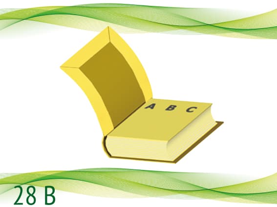 28 B