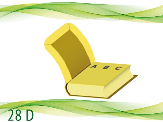 28 D